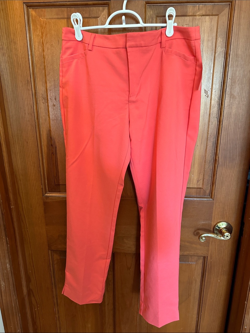 Roz & Ali Coral Straight-Leg Dress Pants